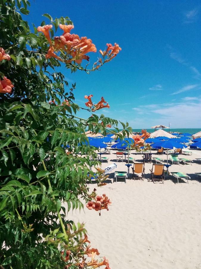 Appartamento Alba Rosa Francavilla Al Mare Ngoại thất bức ảnh